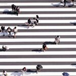 harmonya ai insights platform